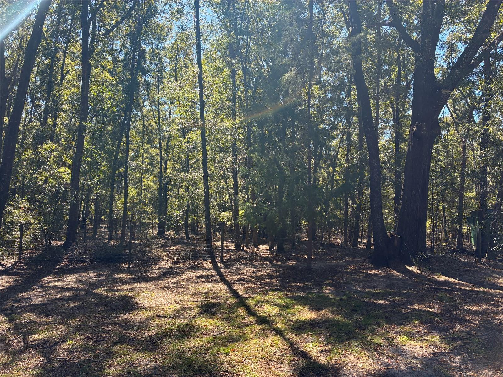 19582 NW 212TH ST, HIGH SPRINGS, FL, 32643