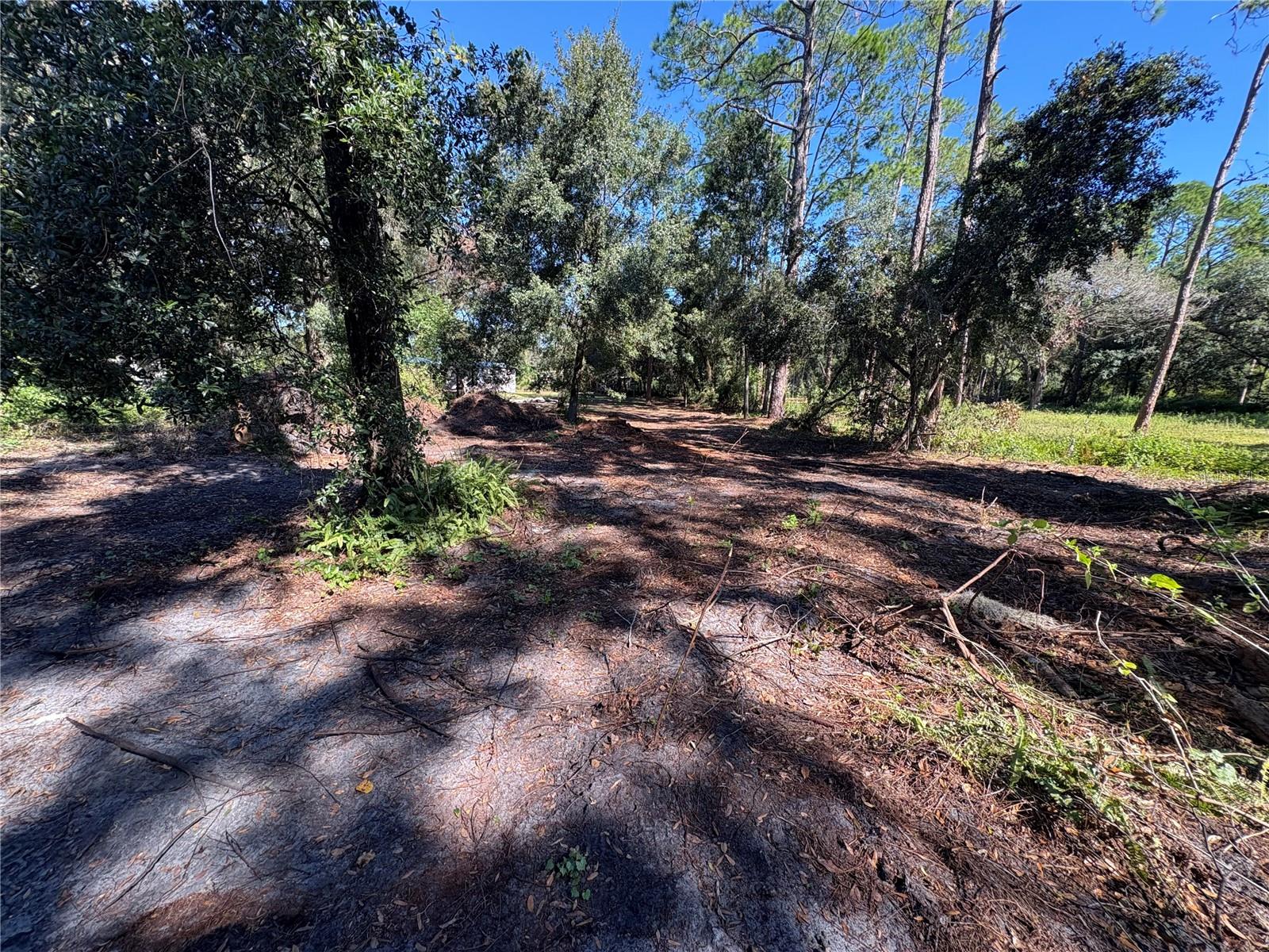 8939 BEVERLY HILLS, LAKELAND, FL, 33809