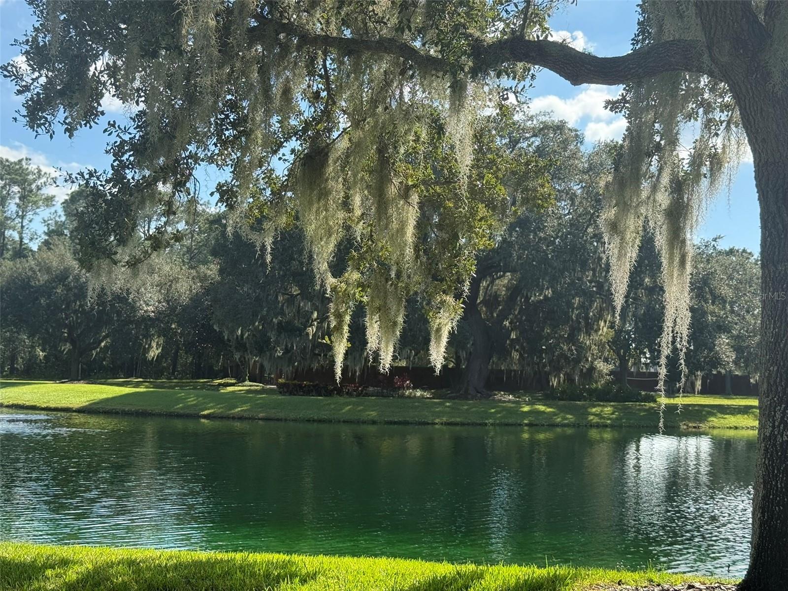 10484 WISCANE AVE, ORLANDO, FL, 32836