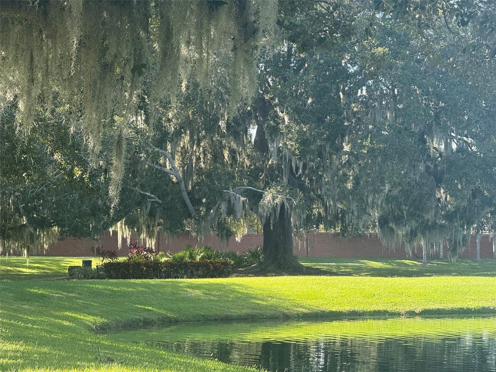 10484 WISCANE AVE, ORLANDO, FL, 32836