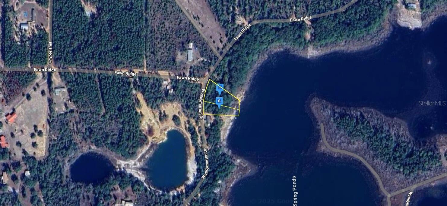 3170 WOODYMARION DR, CHIPLEY, FL, 32428