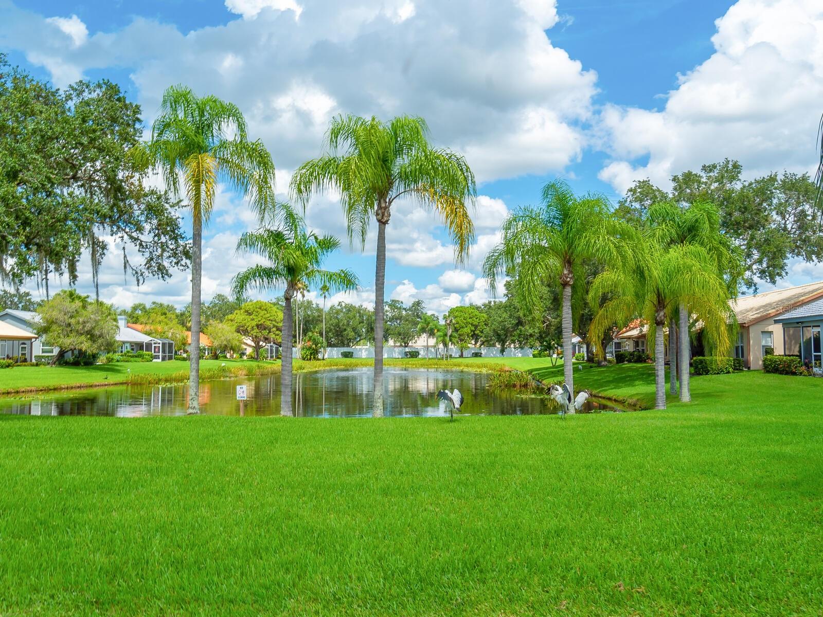 4124 ROSAS AVE #3081, SARASOTA, FL, 34233