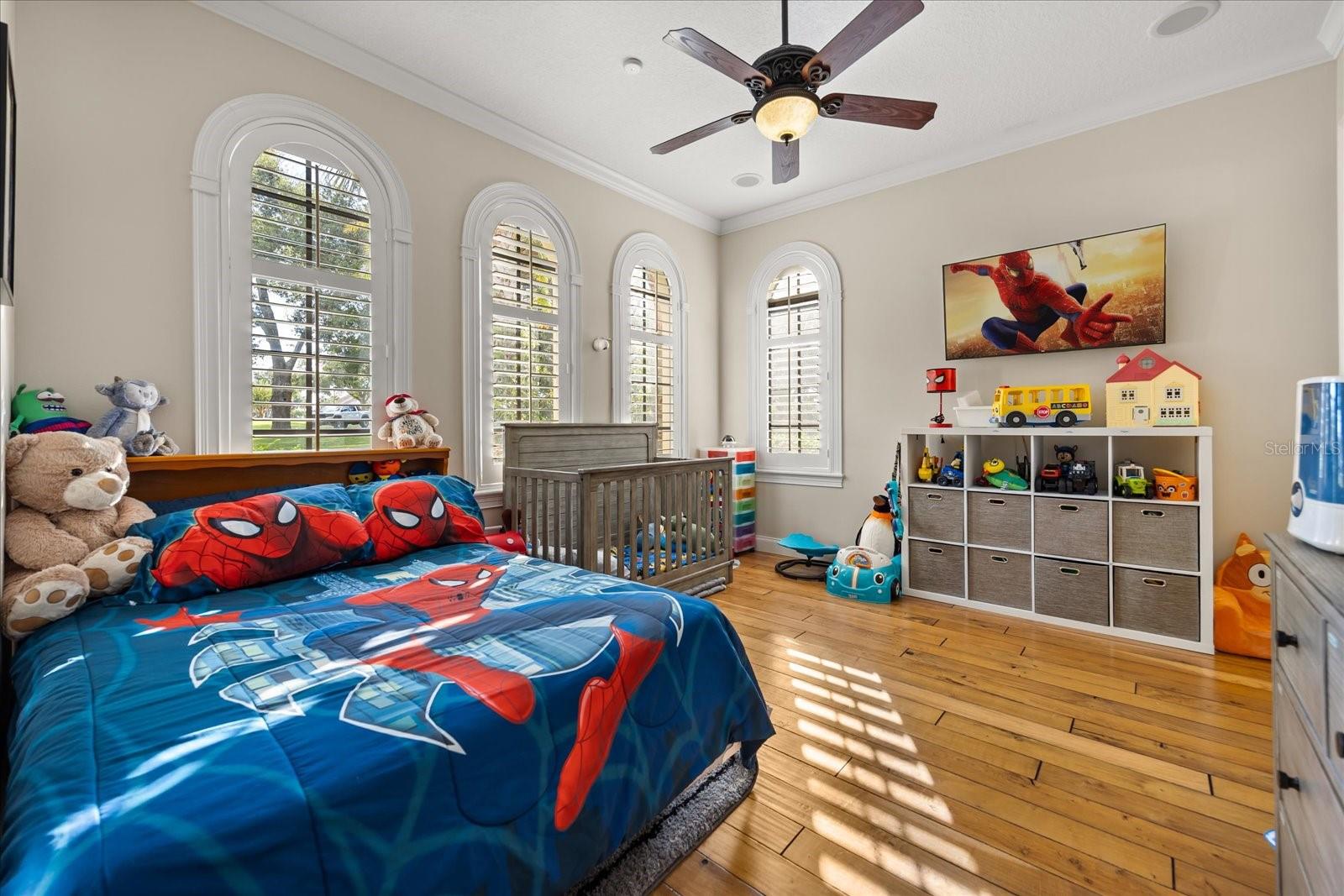 1749 LAKE TERRACE DR, EUSTIS, FL, 32726