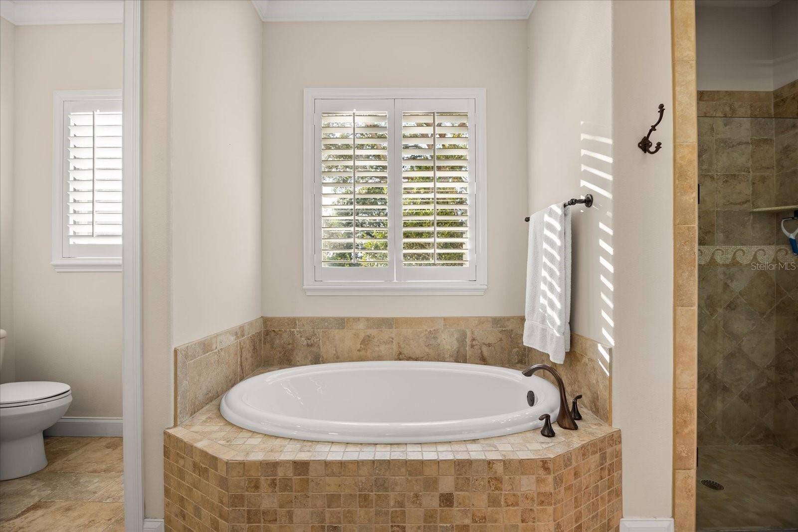 1749 LAKE TERRACE DR, EUSTIS, FL, 32726