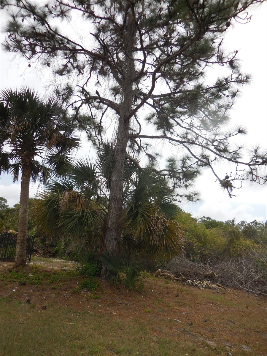 223 JENNIFER DR, ROTONDA WEST, FL, 33947