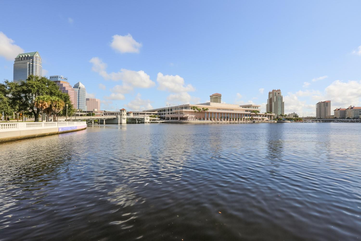 2403 W PALM DR #2, TAMPA, FL, 33629