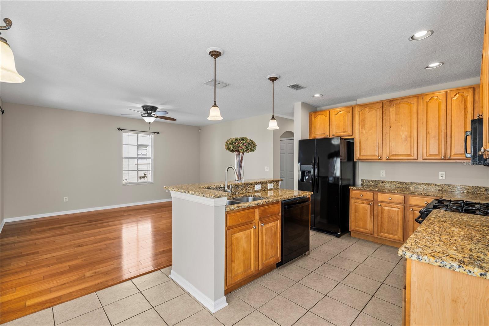 5909 GRAND LONEOAK LN, LITHIA, FL, 33547