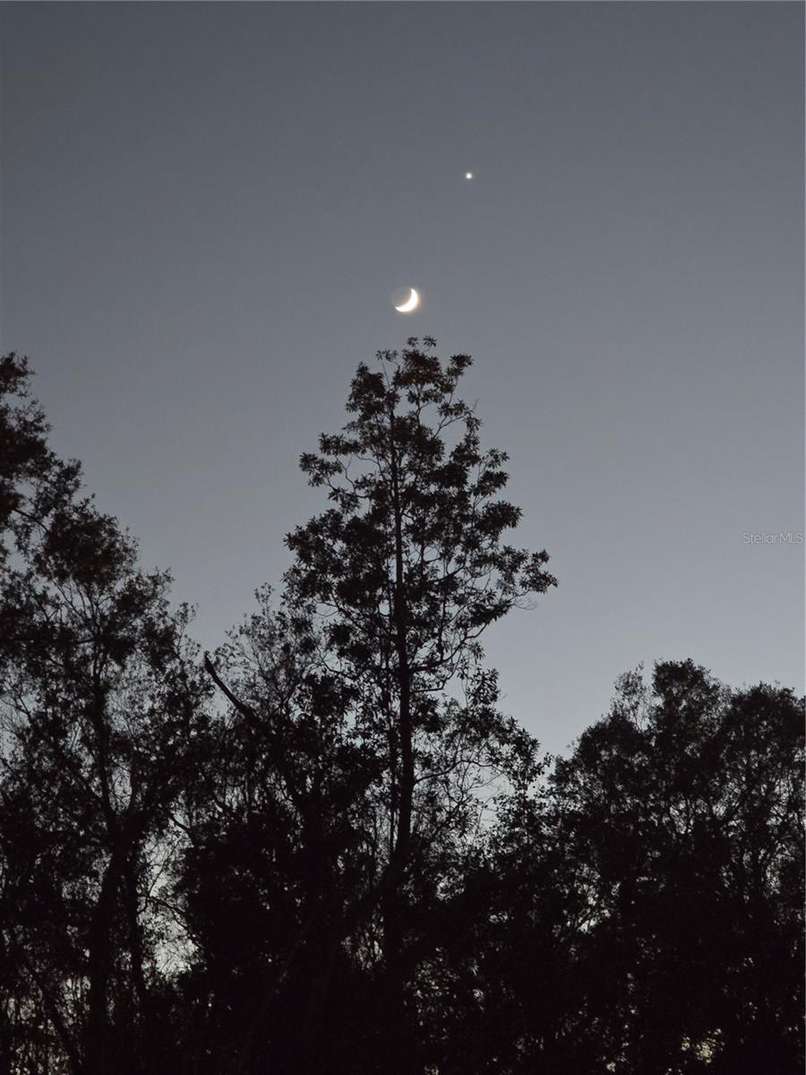 773 NE 9TH ST #E, CRYSTAL RIVER, FL, 34428