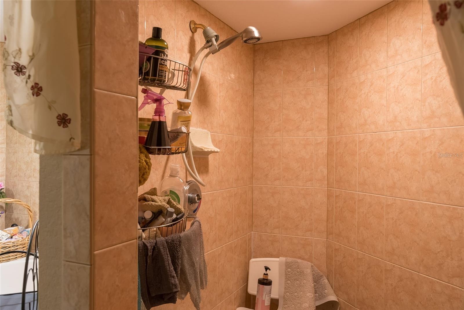 538 BAHIA CIRCLE DR, OCALA, FL, 34472