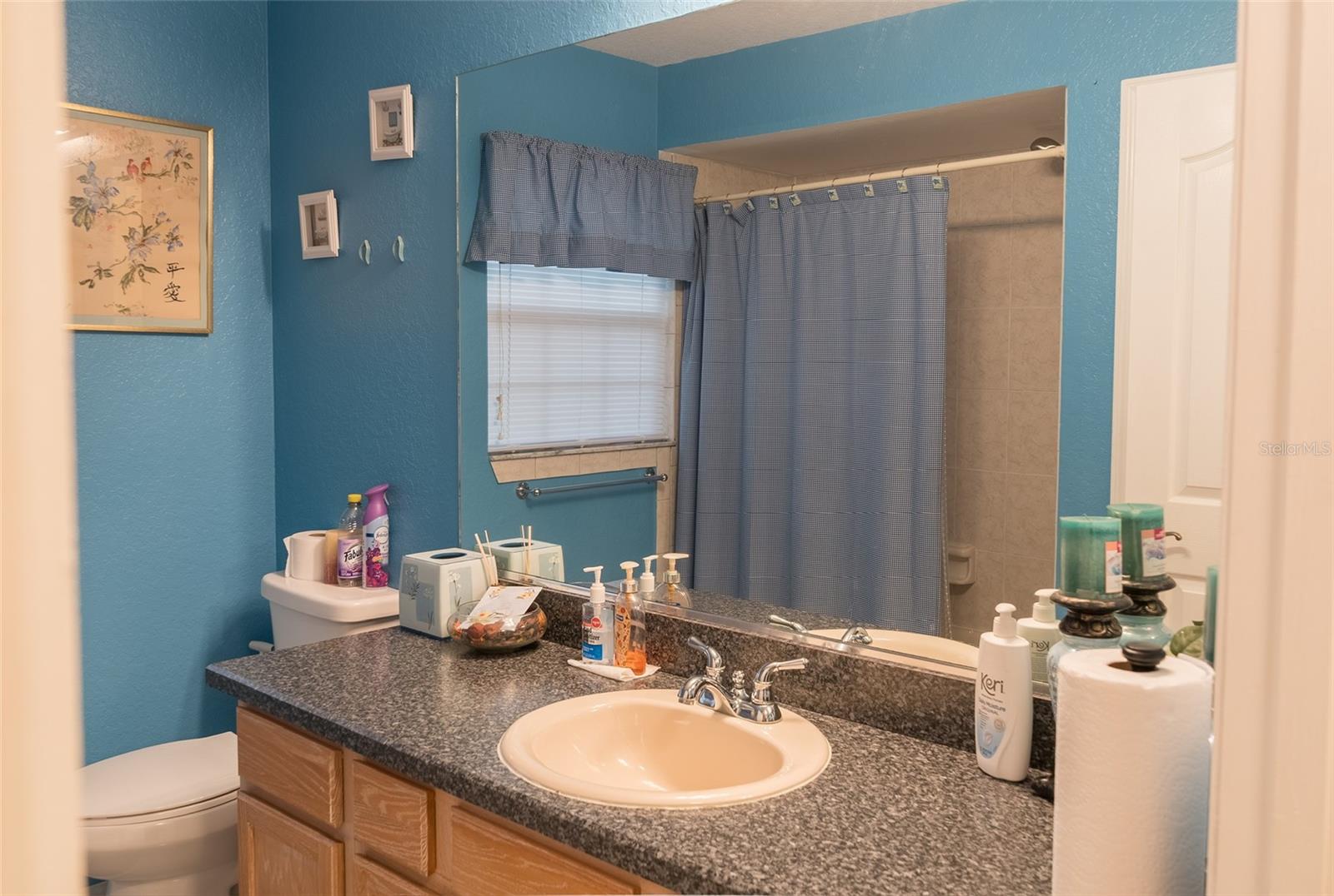 538 BAHIA CIRCLE DR, OCALA, FL, 34472