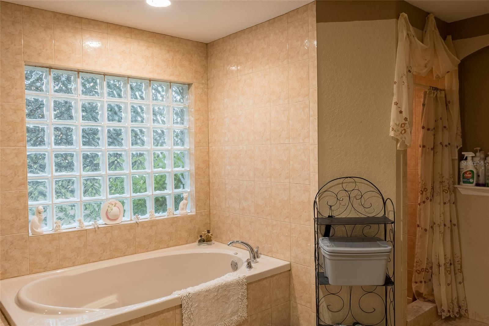 538 BAHIA CIRCLE DR, OCALA, FL, 34472