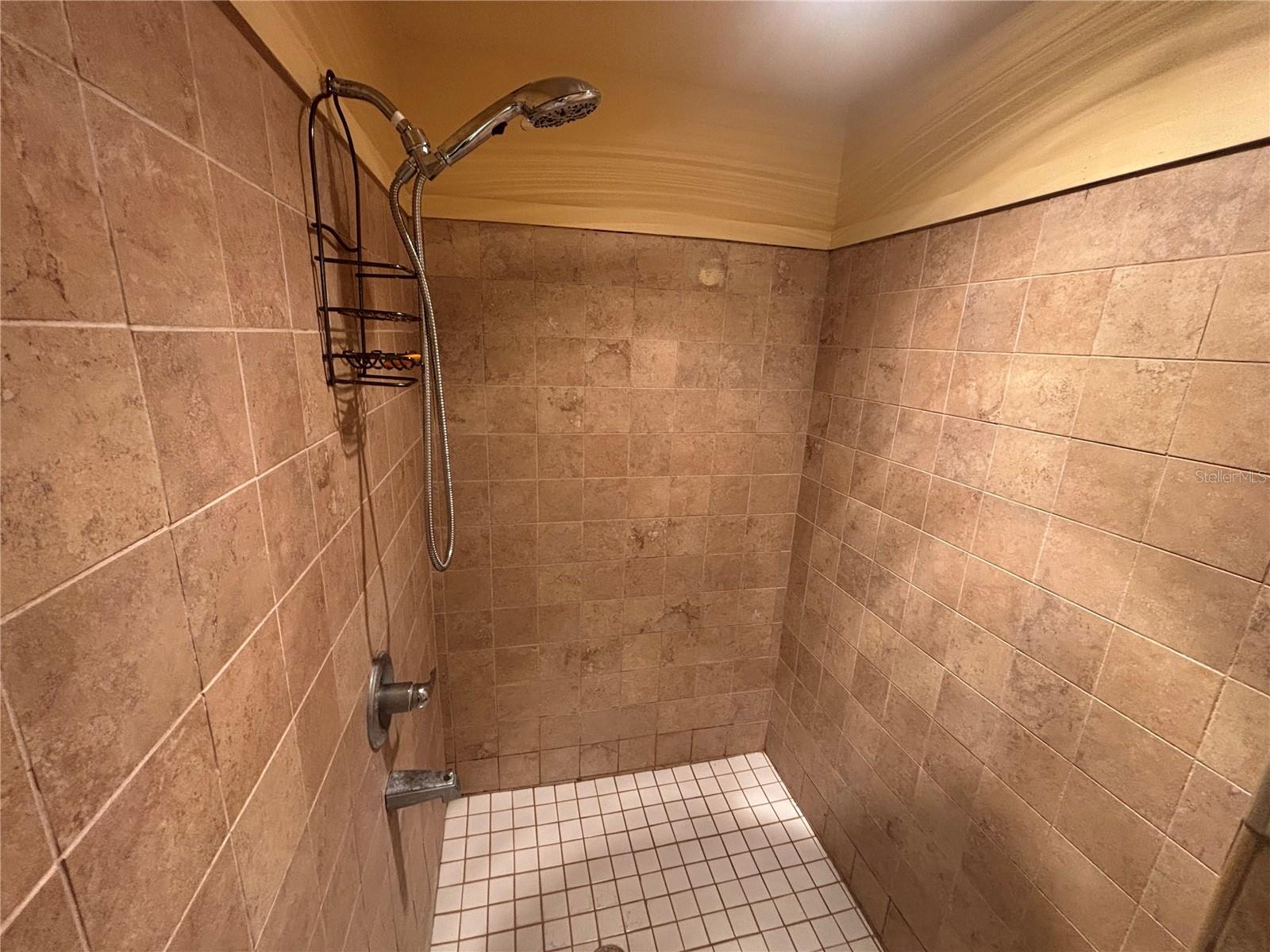 536 MARION OAKS GOLF RD, OCALA, FL, 34473