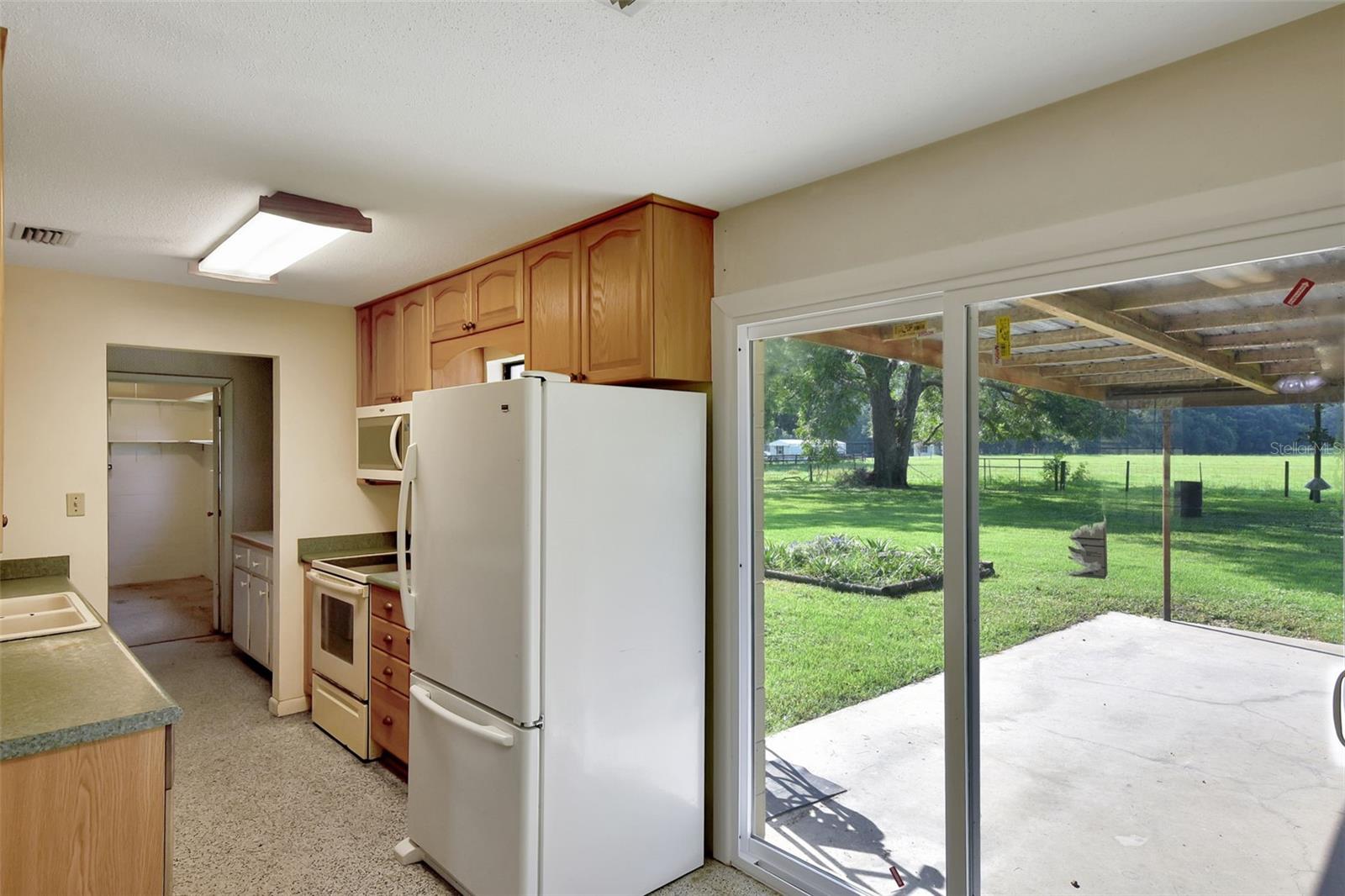 1000 SE 155TH ST, SUMMERFIELD, FL, 34491