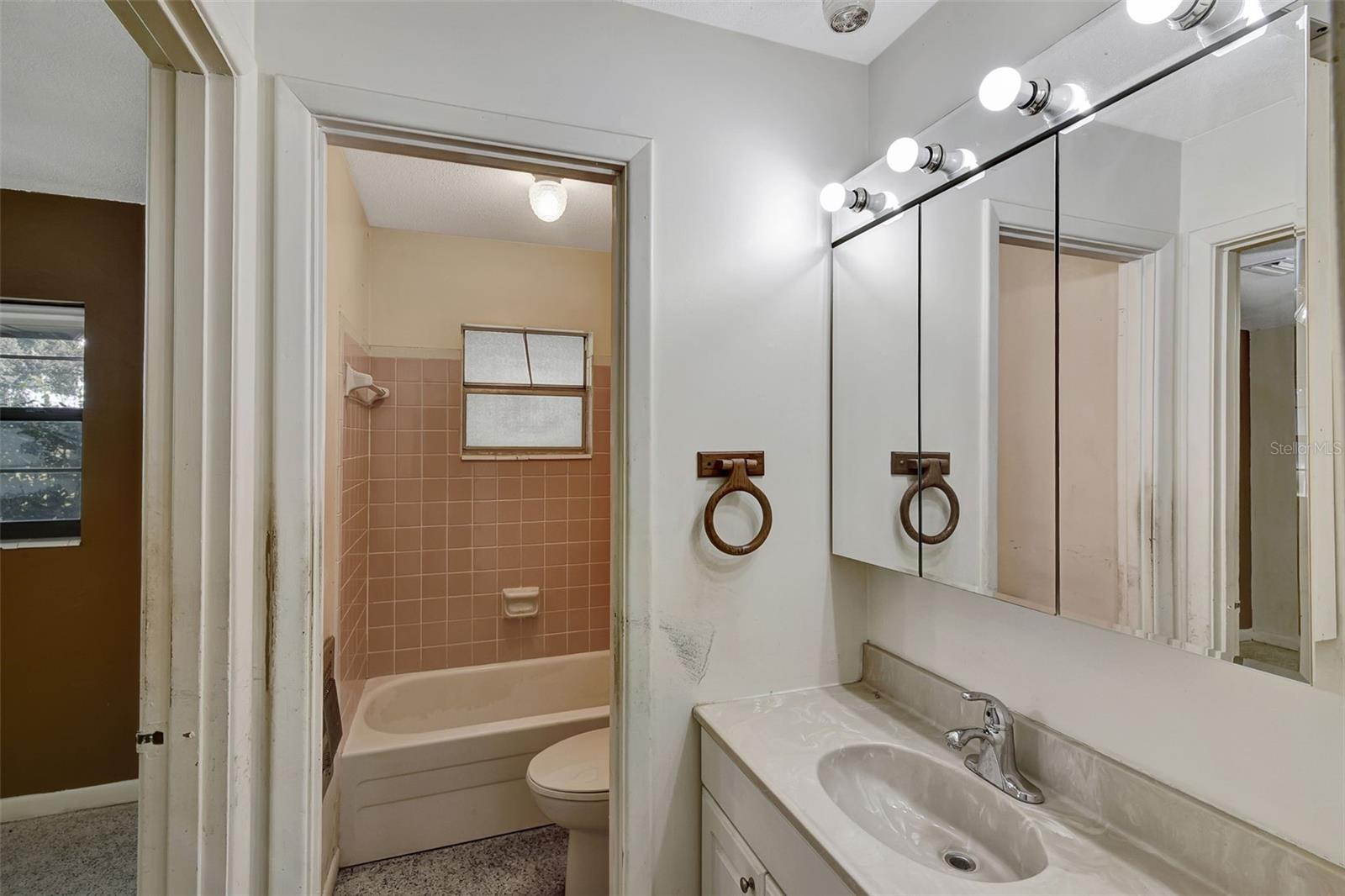 1000 SE 155TH ST, SUMMERFIELD, FL, 34491