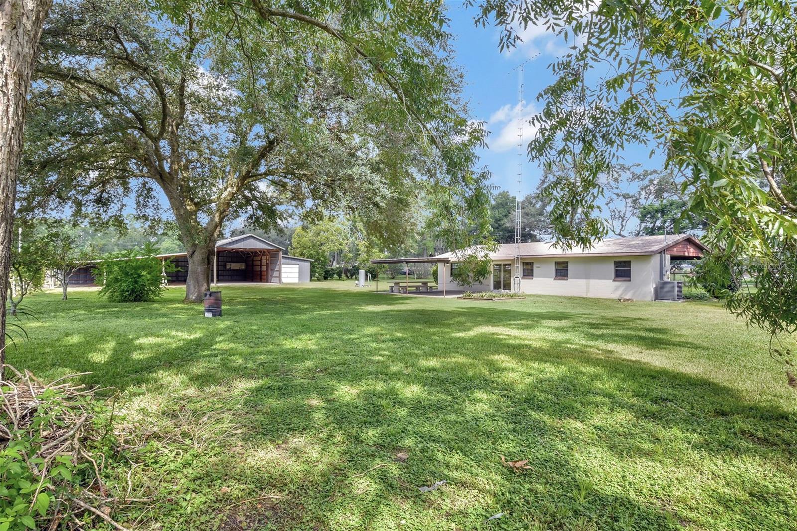 1000 SE 155TH ST, SUMMERFIELD, FL, 34491