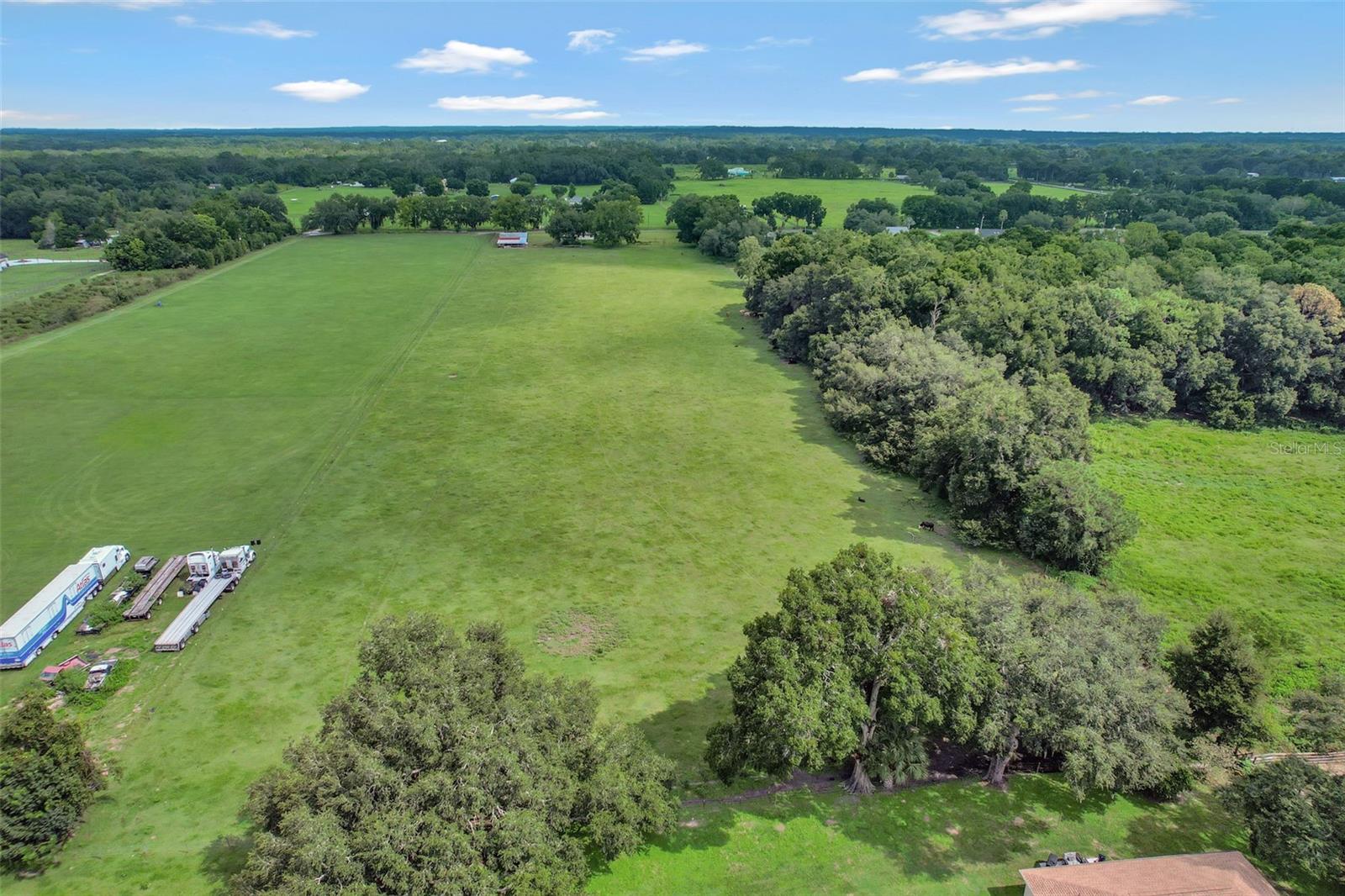 1000 SE 155TH ST, SUMMERFIELD, FL, 34491