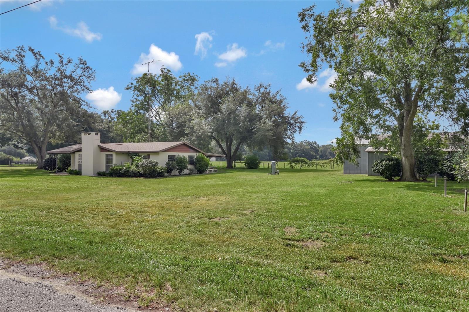1000 SE 155TH ST, SUMMERFIELD, FL, 34491