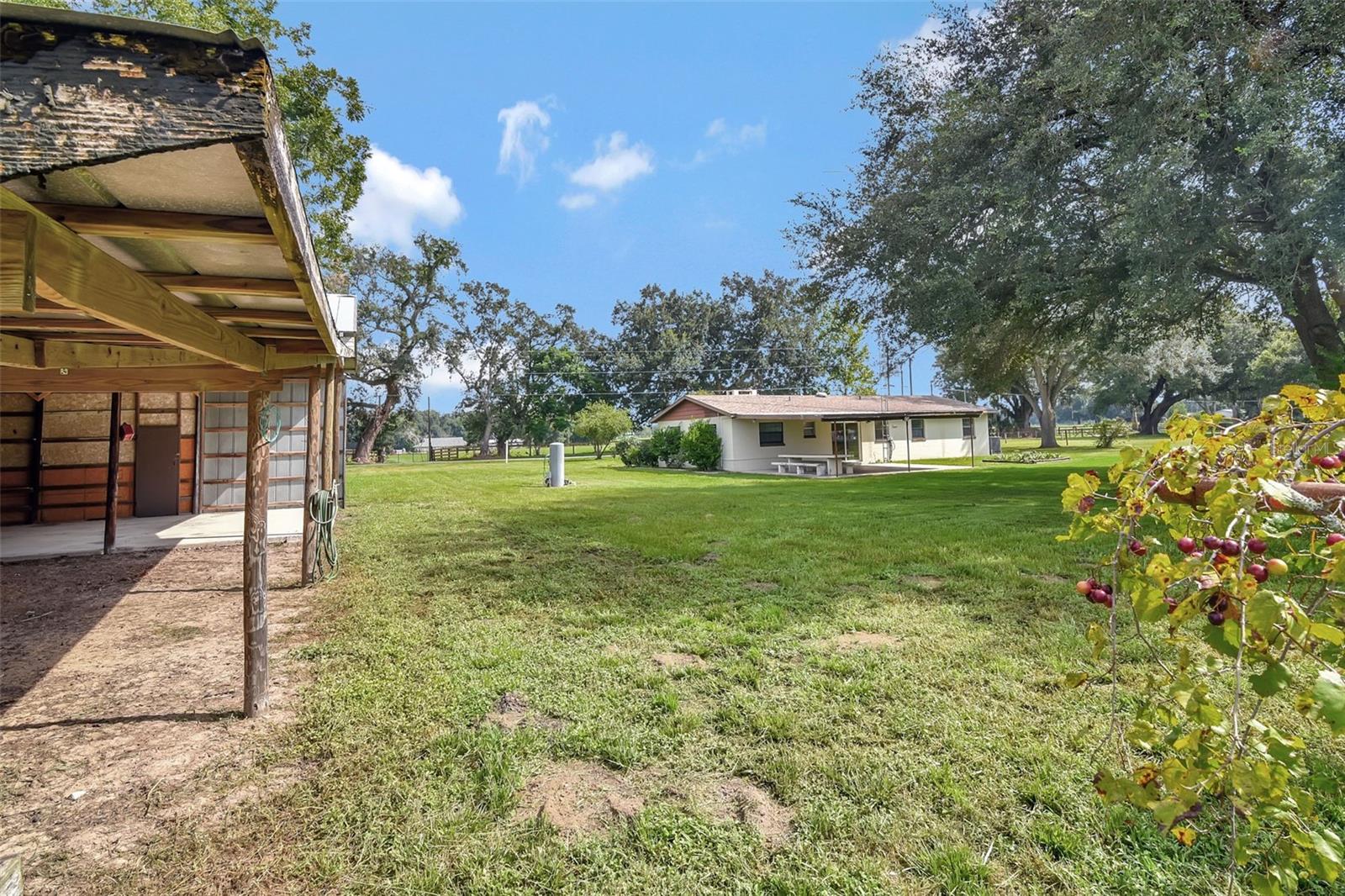 1000 SE 155TH ST, SUMMERFIELD, FL, 34491