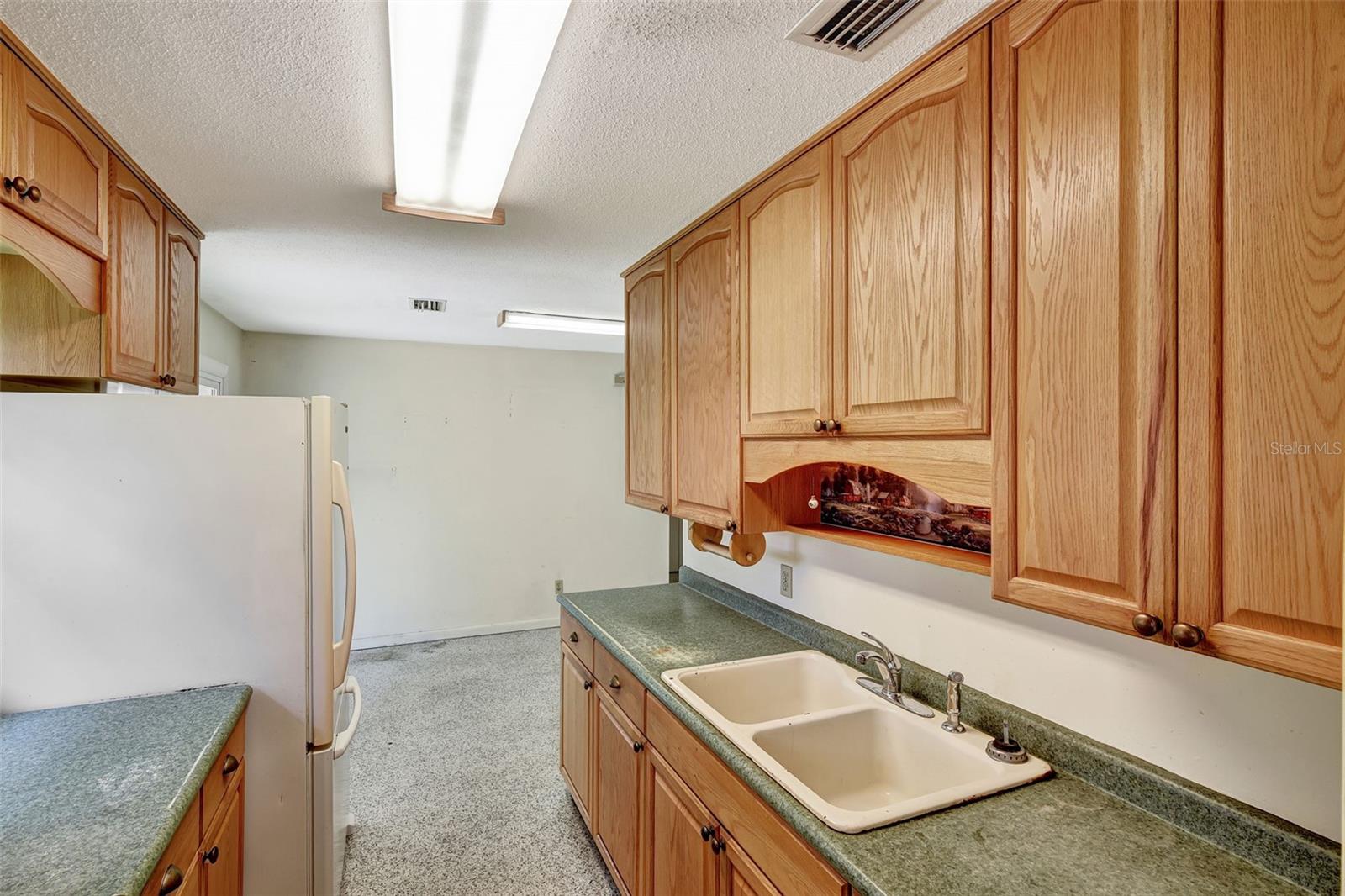 1000 SE 155TH ST, SUMMERFIELD, FL, 34491