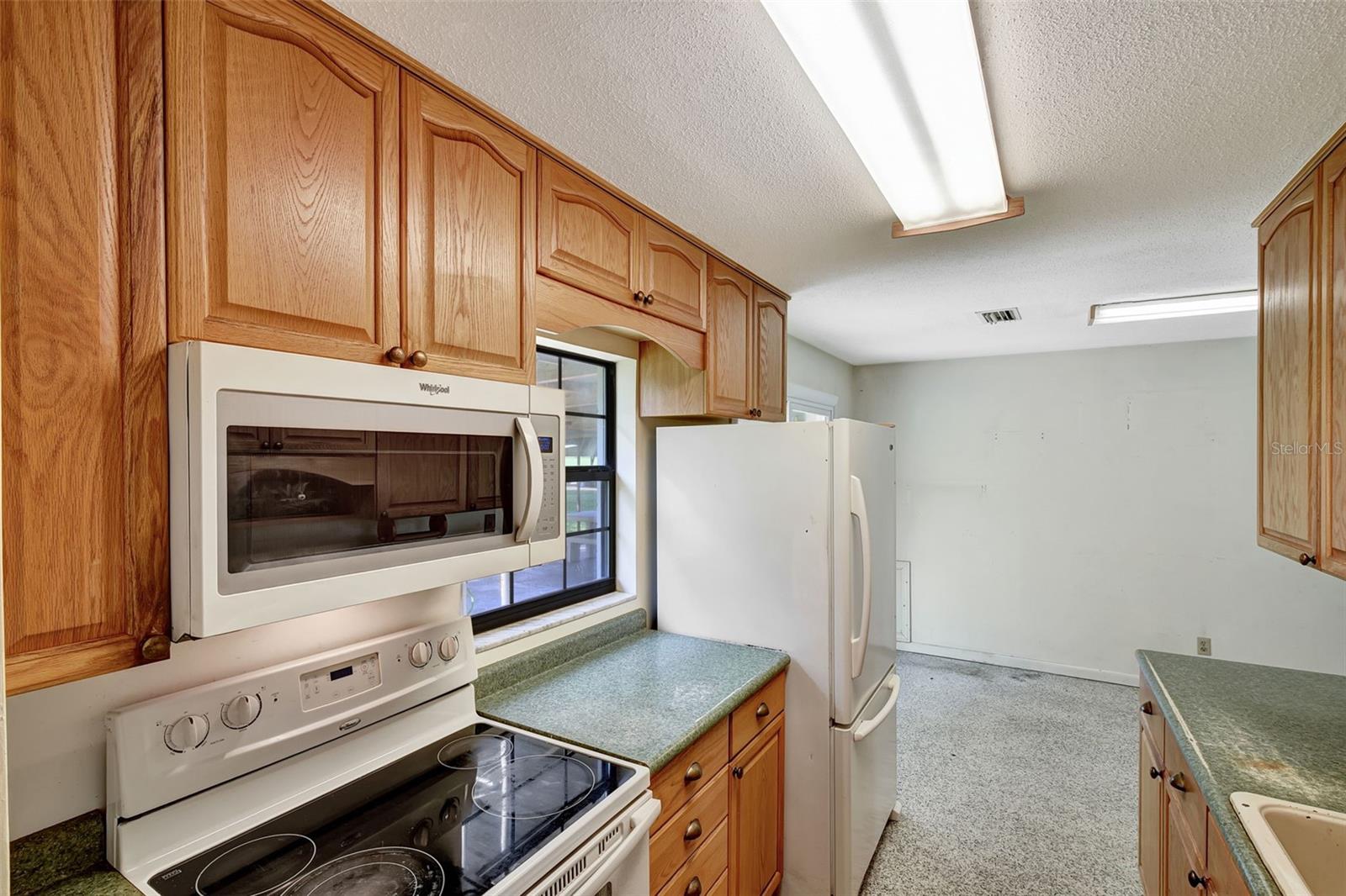 1000 SE 155TH ST, SUMMERFIELD, FL, 34491