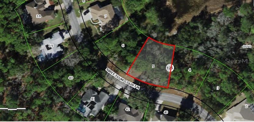 9 SWEETGUM CT N, HOMOSASSA, FL, 34446