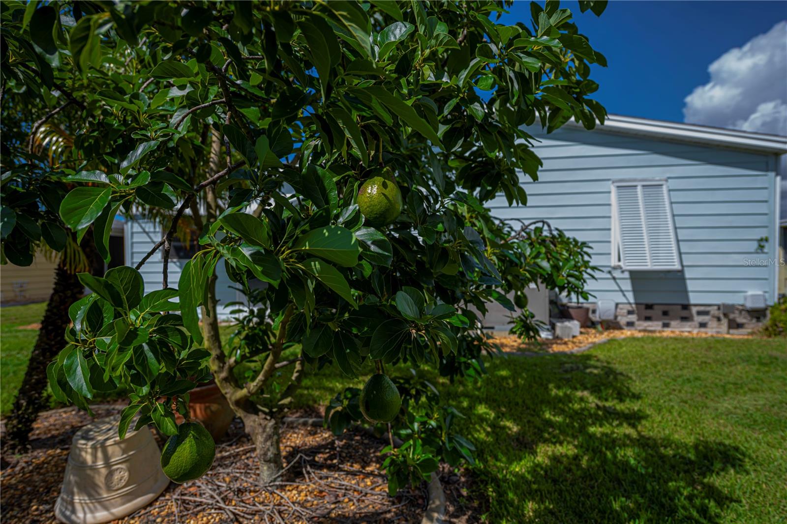 715 TANGERINE WOODS BLVD, ENGLEWOOD, FL, 34223