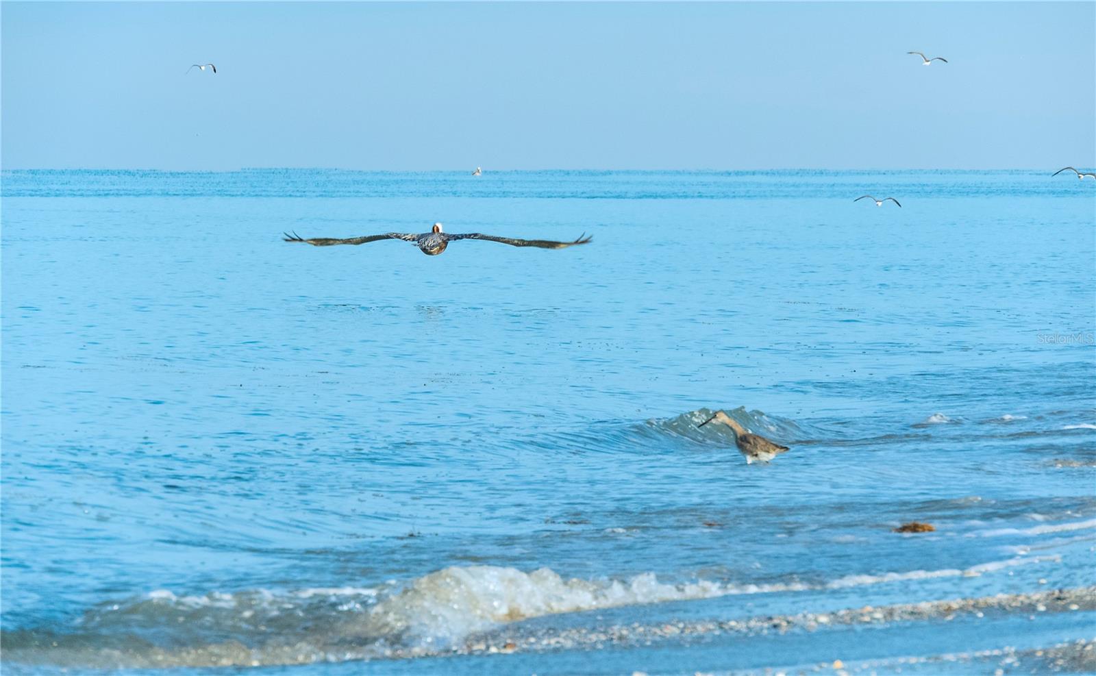 715 TANGERINE WOODS BLVD, ENGLEWOOD, FL, 34223