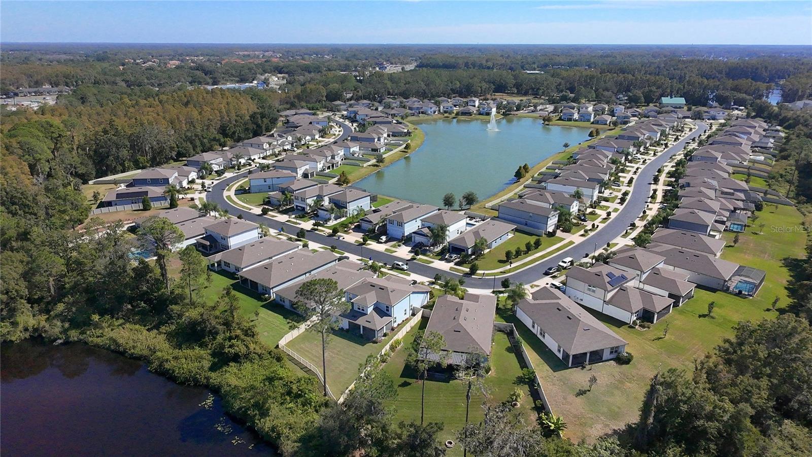 20852 MONZA LOOP, LAND O LAKES, FL, 34638