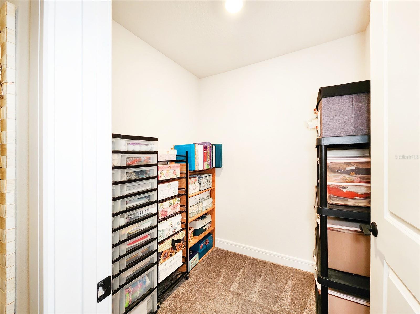 20852 MONZA LOOP, LAND O LAKES, FL, 34638