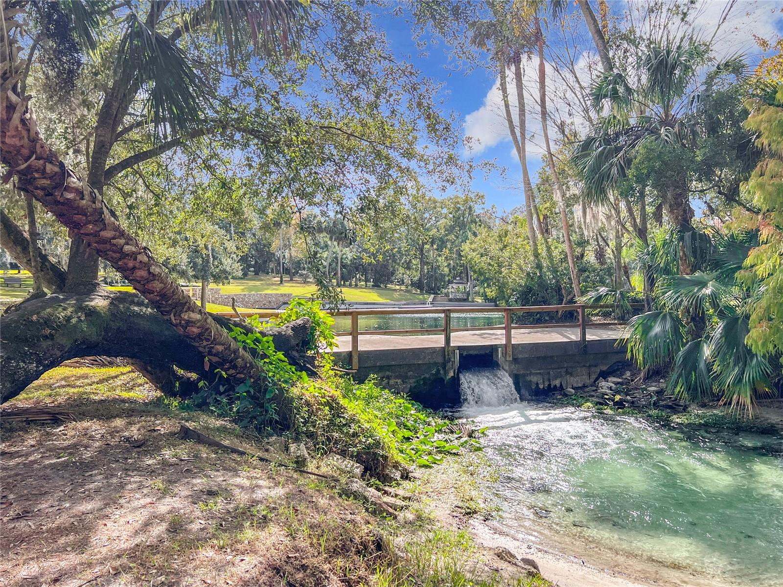 117 CROWN OAKS WAY #117, LONGWOOD, FL, 32779