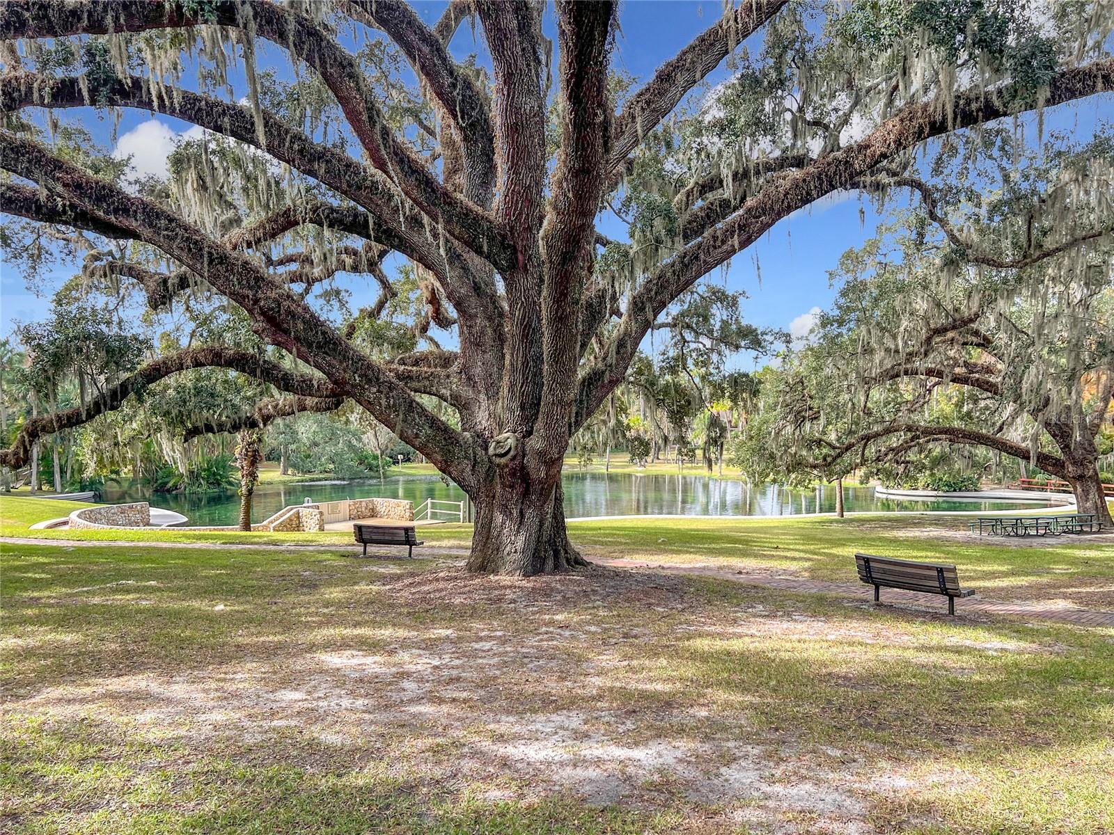 117 CROWN OAKS WAY #117, LONGWOOD, FL, 32779