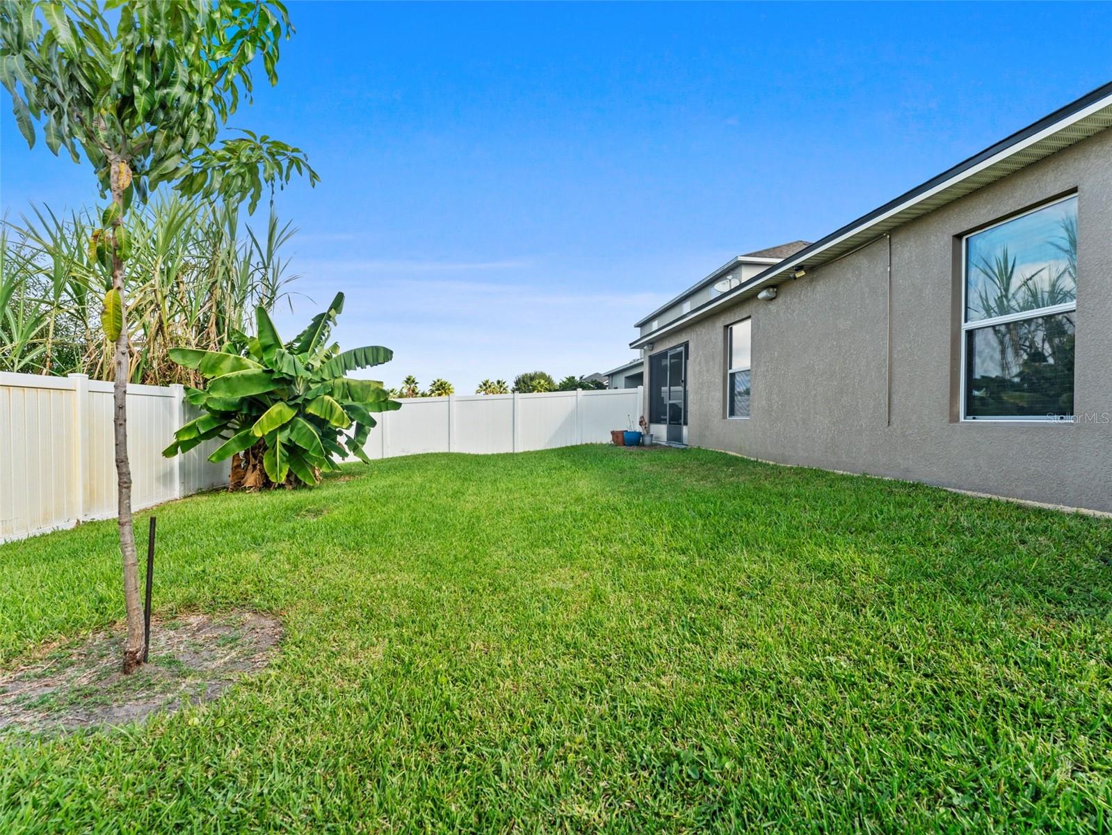 12303 HOLMWOOD GREENS PL, RIVERVIEW, FL, 33579