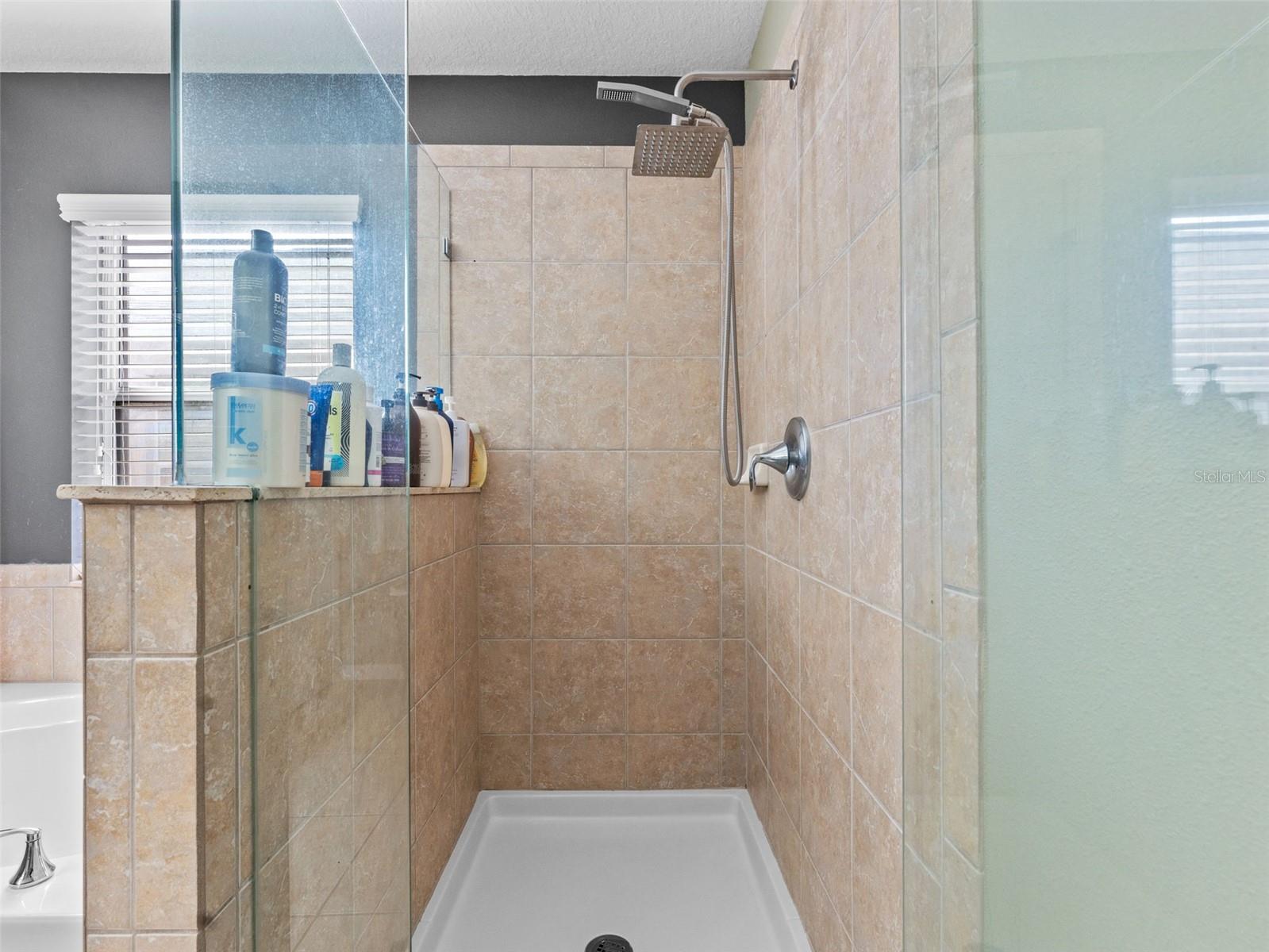 12303 HOLMWOOD GREENS PL, RIVERVIEW, FL, 33579