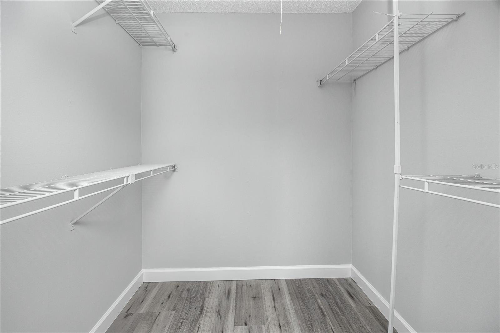 327 PHLOX DR, PALM HARBOR, FL, 34684