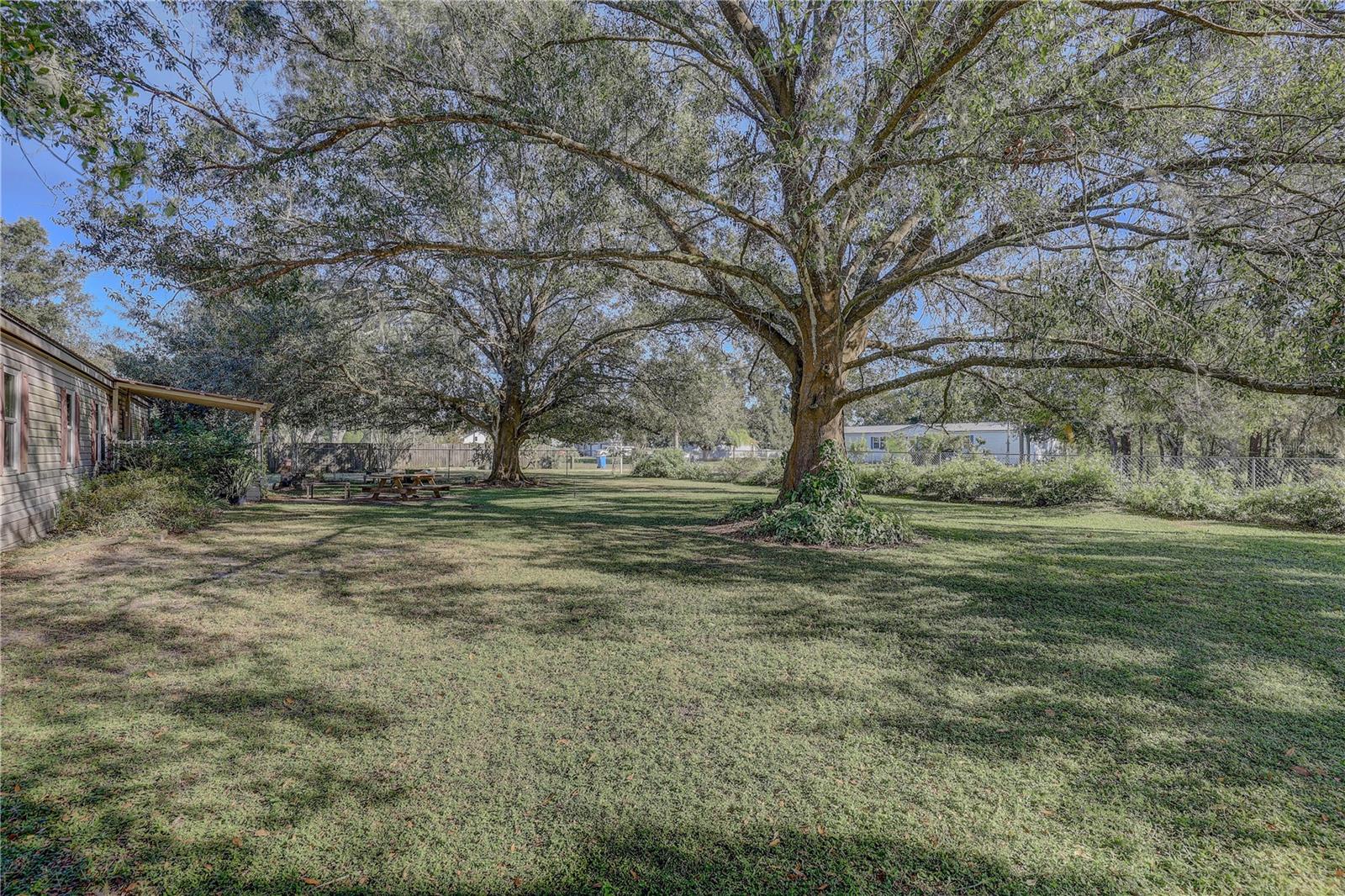 6230 BOB HEAD RD, PLANT CITY, FL, 33565