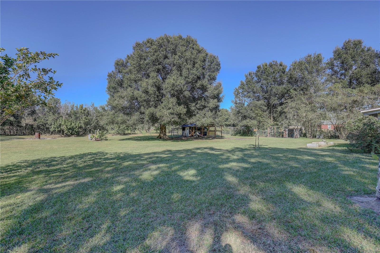 6230 BOB HEAD RD, PLANT CITY, FL, 33565