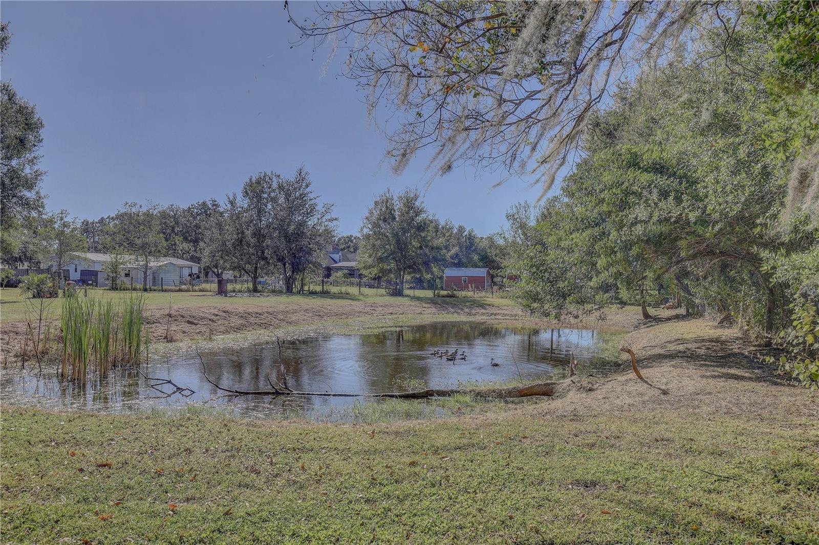 6230 BOB HEAD RD, PLANT CITY, FL, 33565