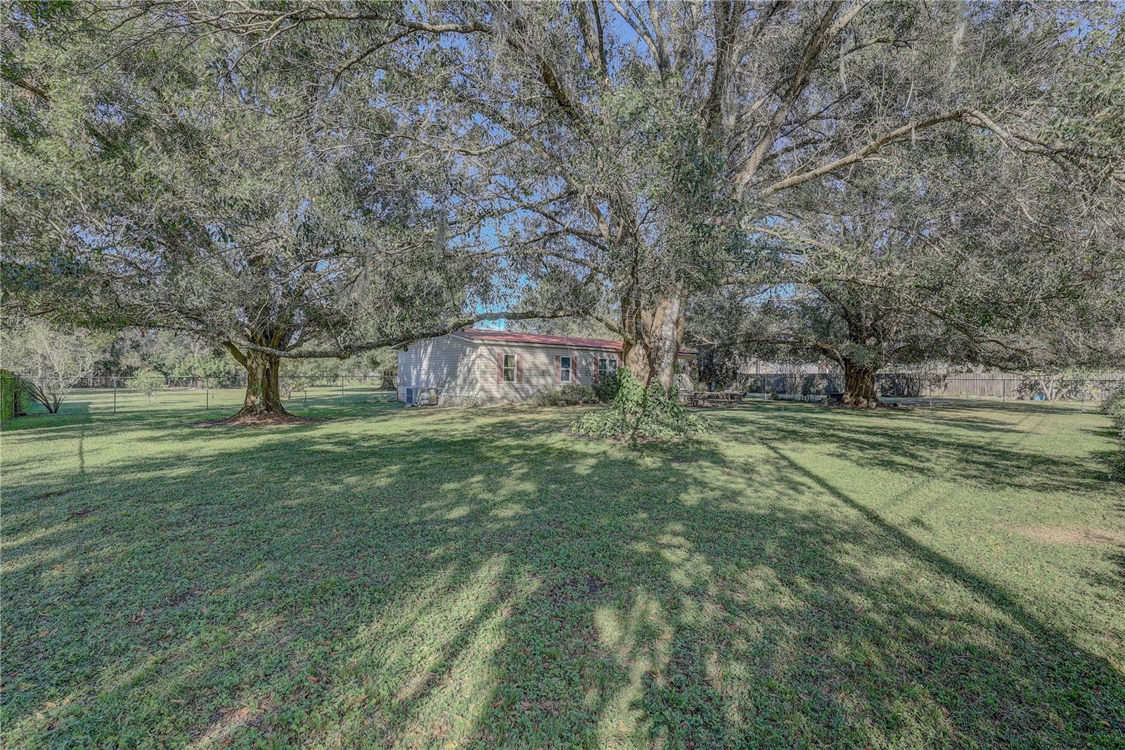 6230 BOB HEAD RD, PLANT CITY, FL, 33565