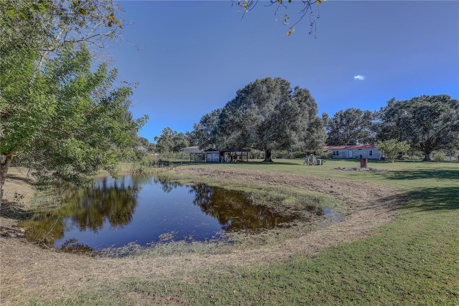 6230 BOB HEAD RD, PLANT CITY, FL, 33565