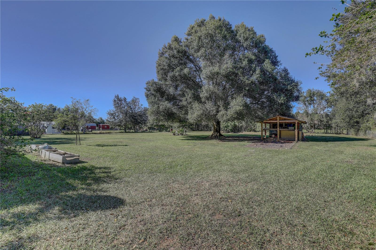 6230 BOB HEAD RD, PLANT CITY, FL, 33565