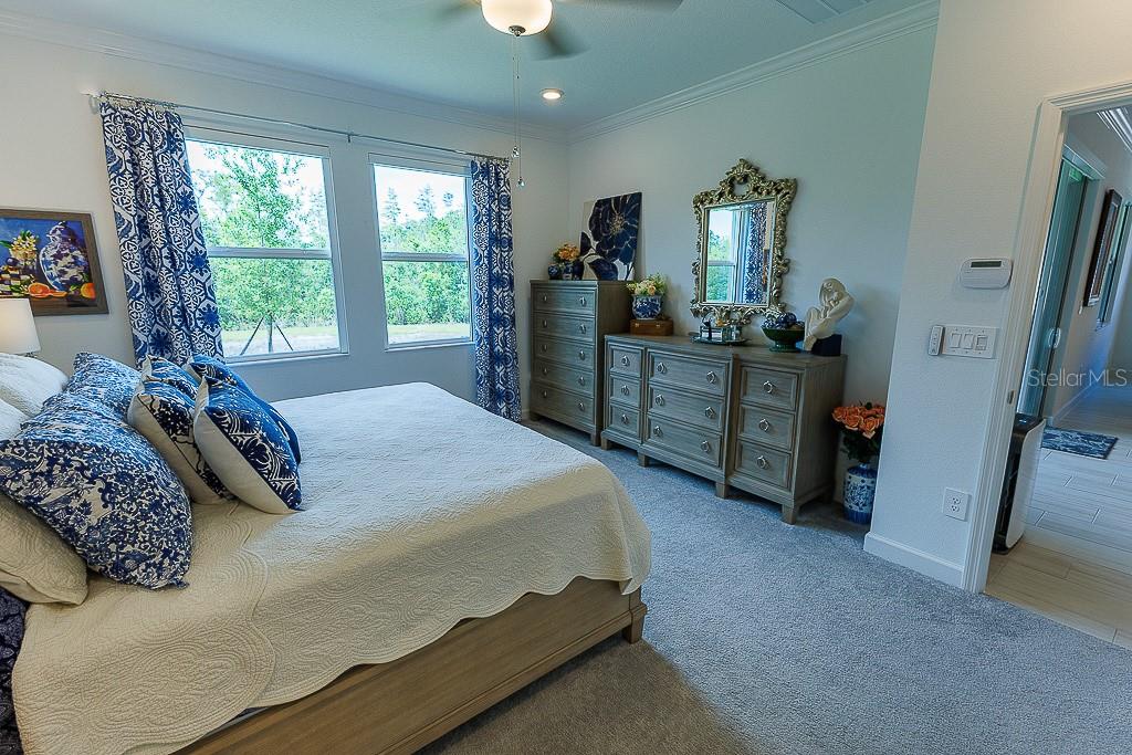 10367 BANYAN BREEZE BLVD, LAND O LAKES, FL, 34638