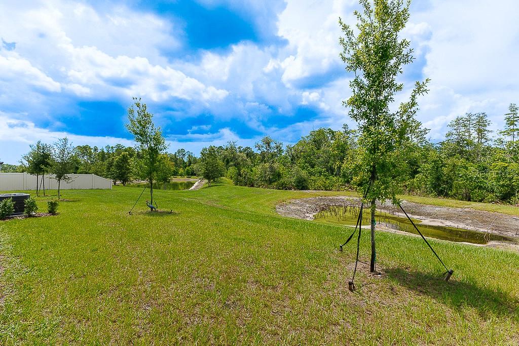 10367 BANYAN BREEZE BLVD, LAND O LAKES, FL, 34638