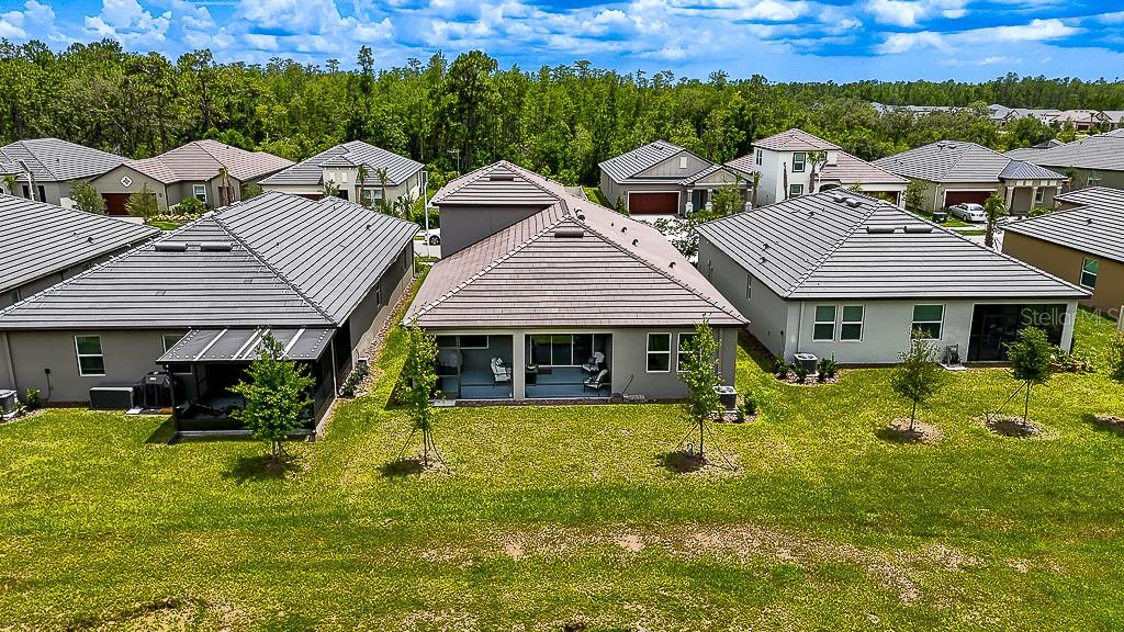 10367 BANYAN BREEZE BLVD, LAND O LAKES, FL, 34638