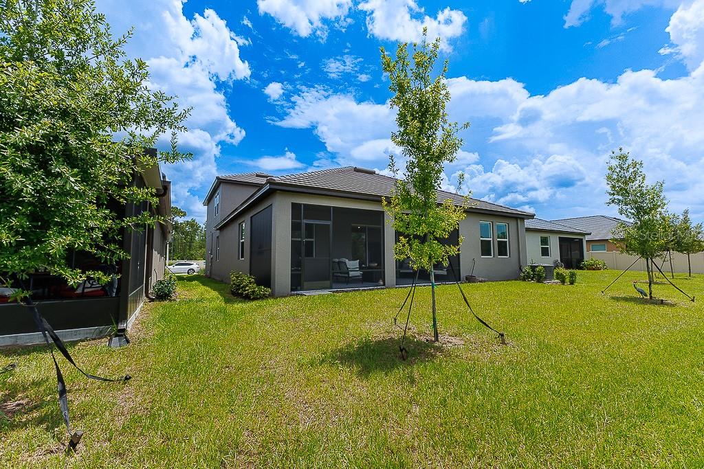 10367 BANYAN BREEZE BLVD, LAND O LAKES, FL, 34638