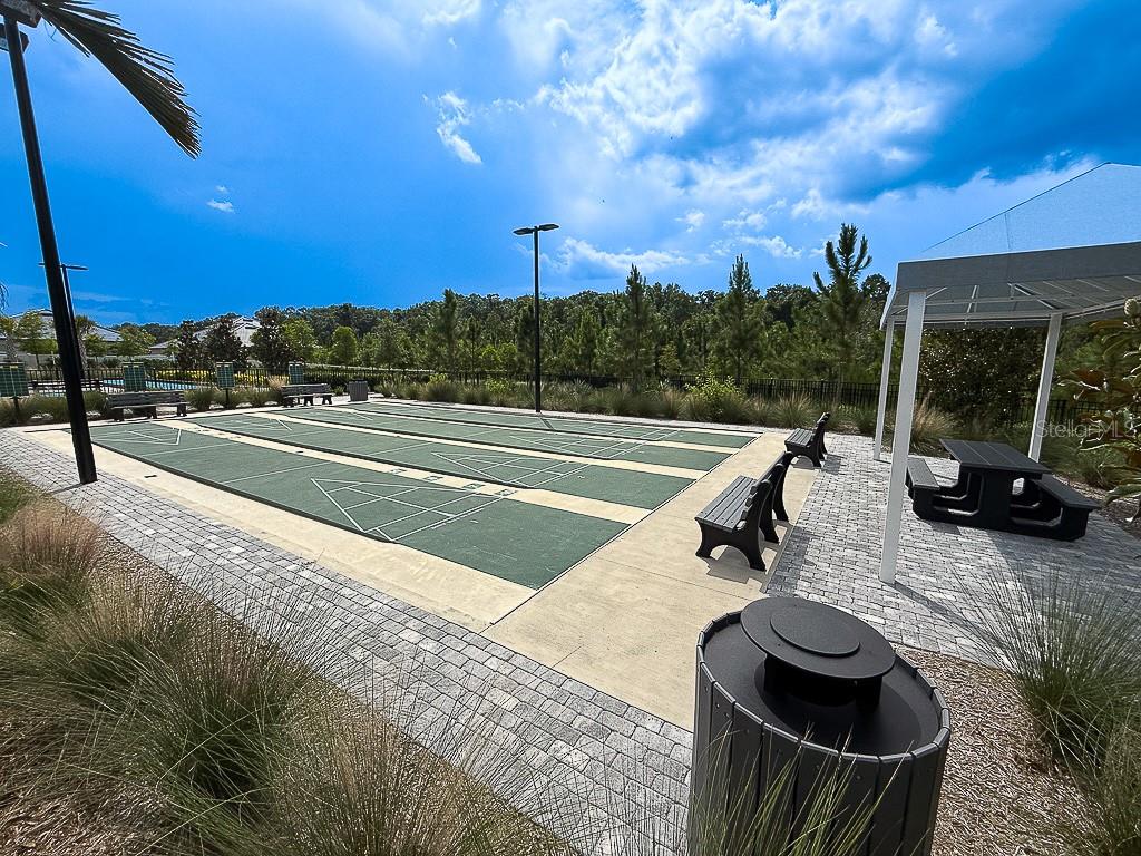 10367 BANYAN BREEZE BLVD, LAND O LAKES, FL, 34638