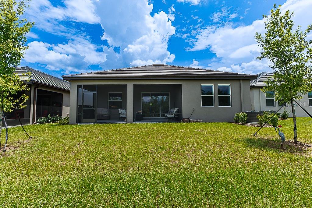 10367 BANYAN BREEZE BLVD, LAND O LAKES, FL, 34638
