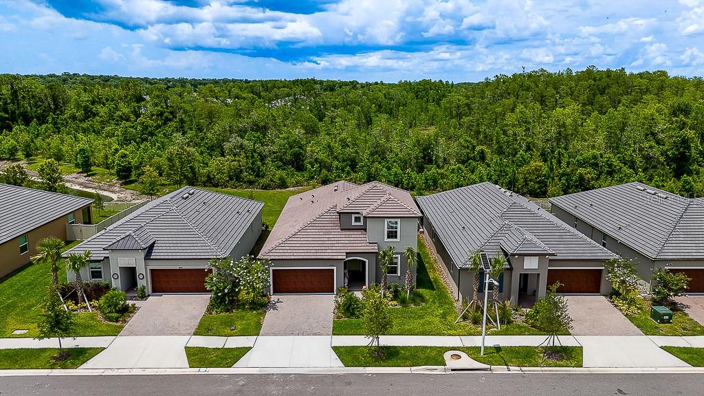 10367 BANYAN BREEZE BLVD, LAND O LAKES, FL, 34638