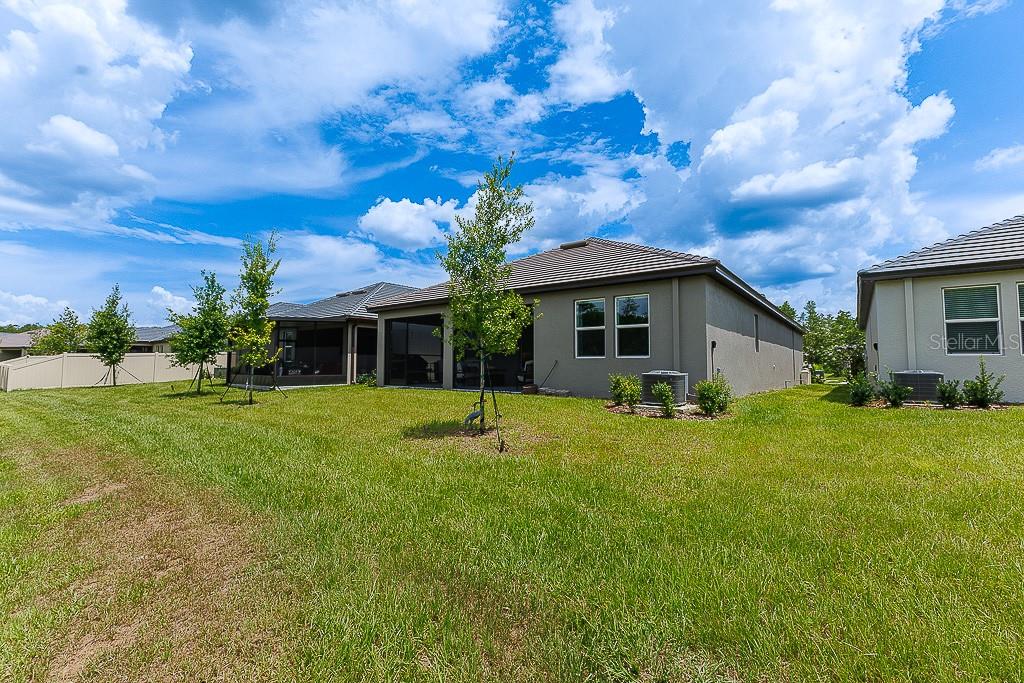 10367 BANYAN BREEZE BLVD, LAND O LAKES, FL, 34638