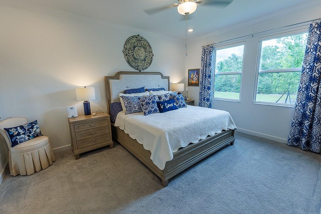 10367 BANYAN BREEZE BLVD, LAND O LAKES, FL, 34638