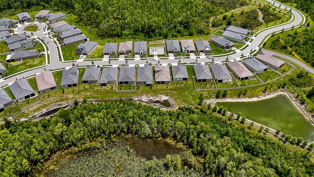 10367 BANYAN BREEZE BLVD, LAND O LAKES, FL, 34638